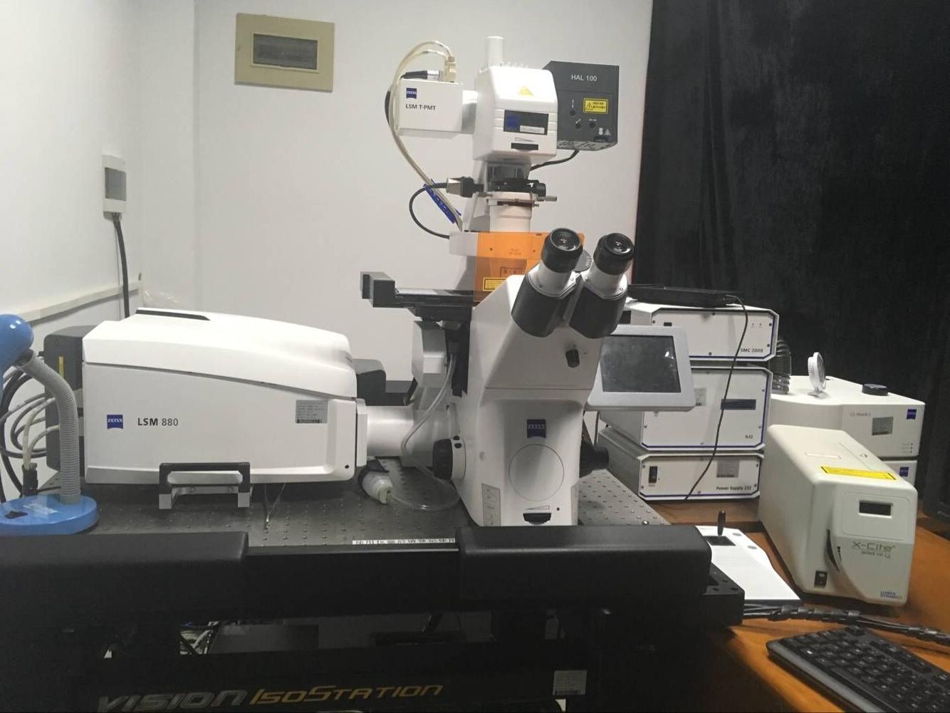 Confocal microscope