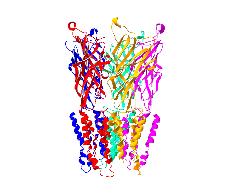 Structure of Cys-Loop Receptors (PDB 4X5T)