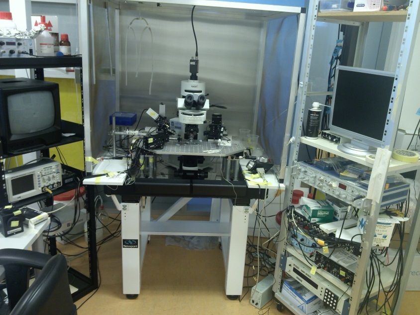 Electrophysiology rig